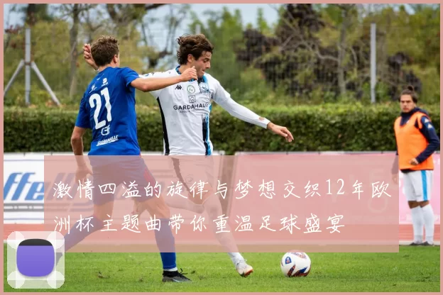激情四溢的旋律与梦想交织12年欧洲杯主题曲带你重温足球盛宴