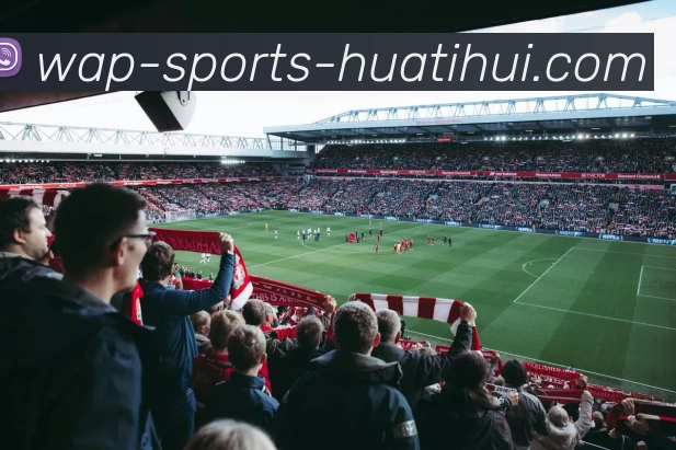 App Interface Preview